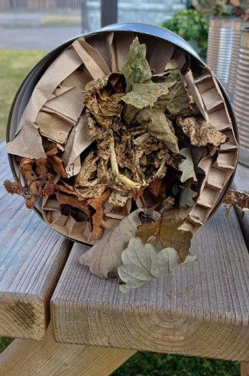 bug hotel